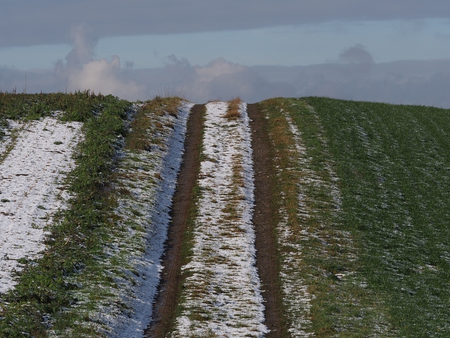 ../previews/081-Feldweg bei Guetighausen_2019_01_18--13-12-15.jpeg.medium.jpeg