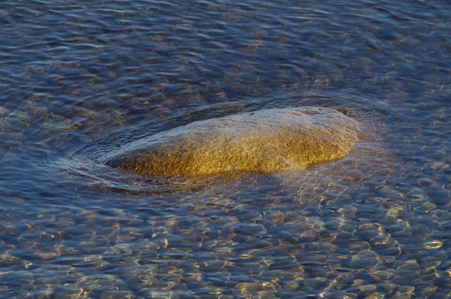 ../previews/089-Grosser Stein im Bodensee_2012_12_30--12-14-23.jpeg.medium.jpeg