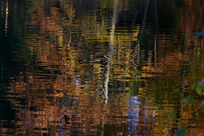 ../previews/101-Herbstliche Reflexionen im Guebsensee_2006_11_04--14-01-09.jpeg.medium.jpeg