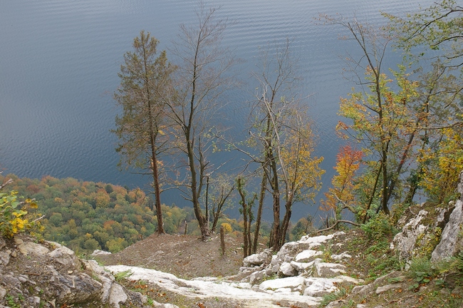 ../previews/103-Herbstwald am Buergenstock_2006_10_28--15-02-14.jpeg.medium.jpeg