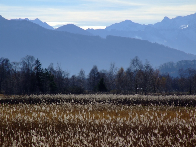 ../previews/120-Landschaft am Rohrspitz_2010_11_13--11-59-12.jpeg.medium.jpeg