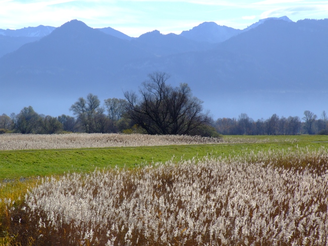 ../previews/121-Landschaft am Rohrspitz_2010_11_13--12-05-26.jpeg.medium.jpeg