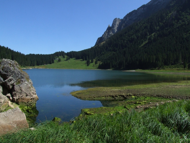 ../previews/122-Landschaft am Voralpsee_2009_08_30--12-33-22.jpeg.medium.jpeg