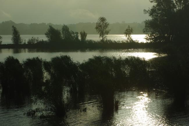 ../previews/133-Morgendliche Landschaft im Schleihenloch_2013_08_10--07-25-12.jpeg.medium.jpeg
