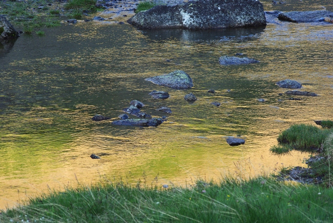 ../previews/136-Morgenhimmel spiegelt im Bergbach_2013_07_27--06-47-55.jpeg.medium.jpeg