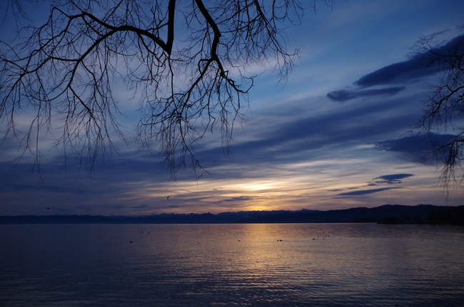 ../previews/141-Morgenstimmung am Bodensee_2014_12_13--09-08-58.jpeg.medium.jpeg