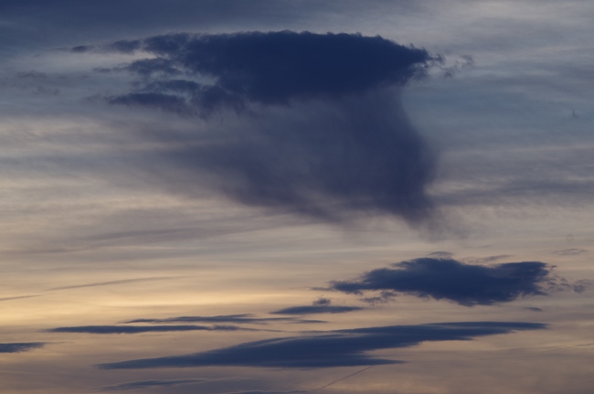 ../previews/142-Morgenstimmungen am Bodensee_2014_12_13--09-12-18.jpeg.medium.jpeg