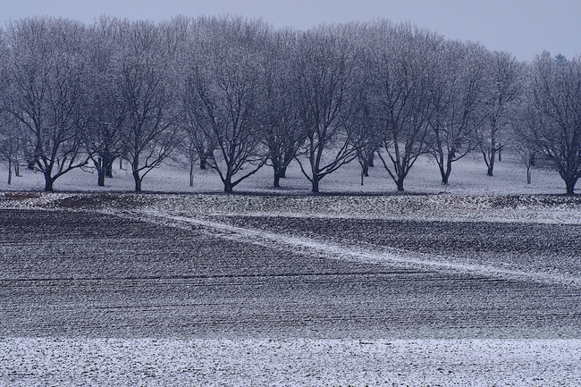 ../previews/147-Obstbaumhain im Winter_2019_02_03--13-10-11.jpeg.medium.jpeg