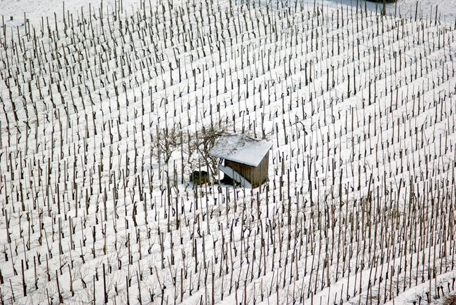 ../previews/152-Rebhaeuschen im Winter_2010_02_13--13-23-07.jpeg.medium.jpeg