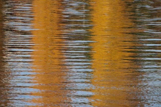 ../previews/153-Reflexionen im Rhein_2015_10_25--16-00-19.jpeg.medium.jpeg