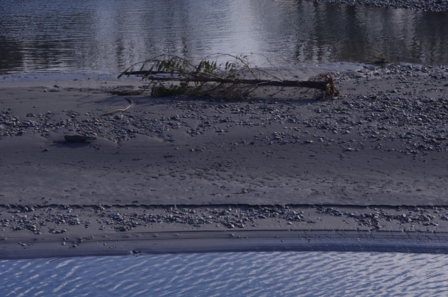 ../previews/156-Rhein bei Ruggell mit angeschwemmtem Baum_2013_12_28--10-41-42.jpeg.medium.jpeg