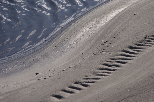 ../previews/157-Rheinufer bei Ruggell_2013_12_28--10-20-30.jpeg.medium.jpeg