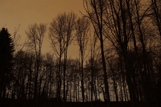 ../previews/160-Saharasand verfärbt die Umgebung_2022_03_15--15-06-31.jpeg.medium.jpeg