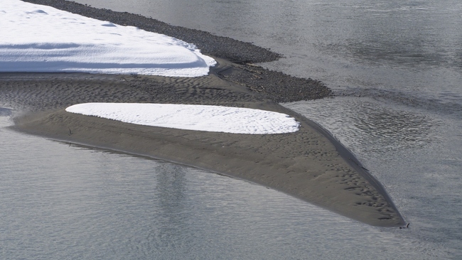 ../previews/162-Sandbank im Rhein mit Schnee_2015_01_02--11-56-35.jpeg.medium.jpeg