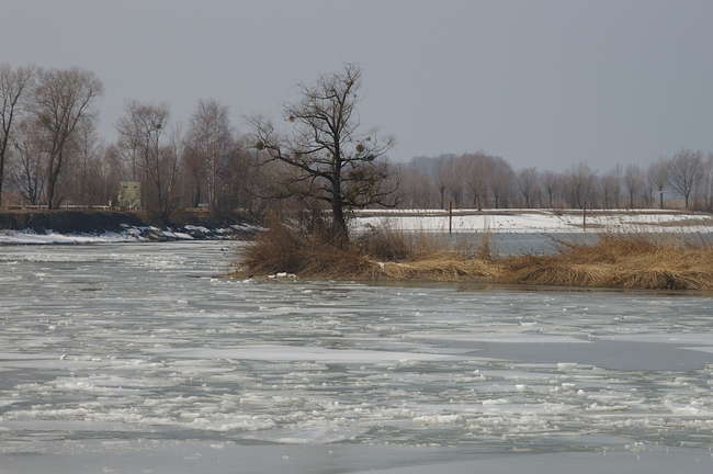 ../previews/168-Schleihenloch im Winter_2006_03_19--12-14-29.jpeg.medium.jpeg