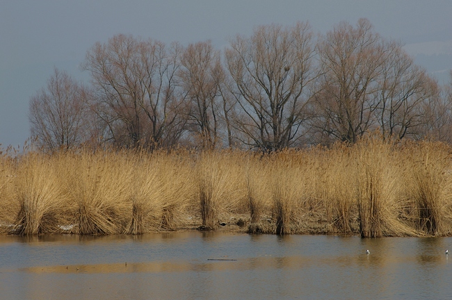 ../previews/169-Schleihenloch im Winter_2006_03_19--12-50-29.jpeg.medium.jpeg