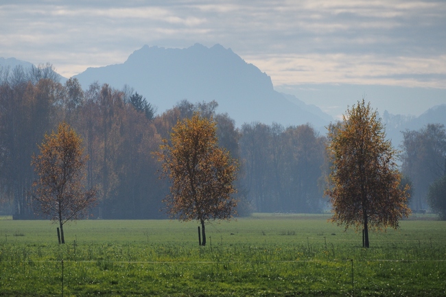 ../previews/173-Sicht aus der Fussacher Bucht auf Berge_2015_11_06--12-29-04.jpeg.medium.jpeg