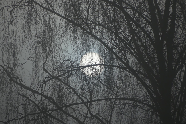 ../previews/179-Sonne im Nebel hinter Geaest_2022_01_01--11-26-05.jpeg.medium.jpeg