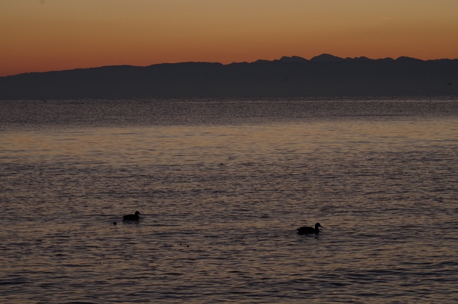 ../previews/180-Sonnenaufgang am Bodensee_2012_10_06--07-14-26.jpeg.medium.jpeg