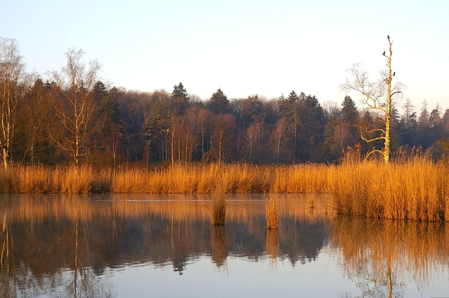 ../previews/186-Sonnenaufgang am winterlichen Hausenersee_2007_03_12--08-22-45.jpeg.medium.jpeg