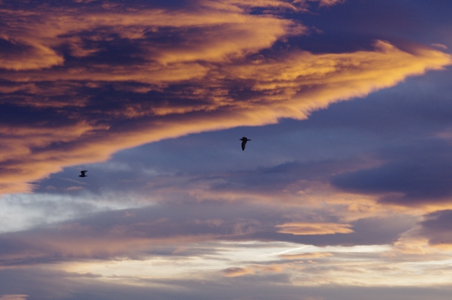 ../previews/187-Sonnenaufgang bei starkem Foehn_2013_12_25--07-30-00.jpeg.medium.jpeg