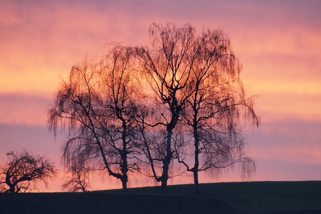 ../previews/194-Sonnenuntergang beim Burghof_2015_12_13--16-36-14.jpeg.medium.jpeg