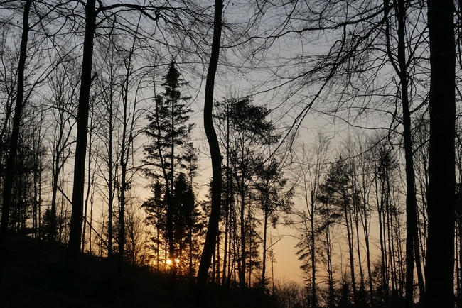 ../previews/196-Sonnenuntergangstimmung oberhalb Thalheim_2022_03_25--19-17-08.jpeg.medium.jpeg