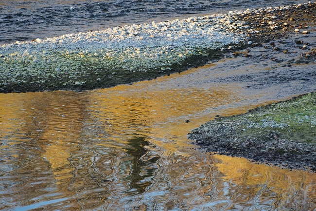 ../previews/198-Spiegelung in der Thur_2015_11_07--16-18-30.jpeg.medium.jpeg