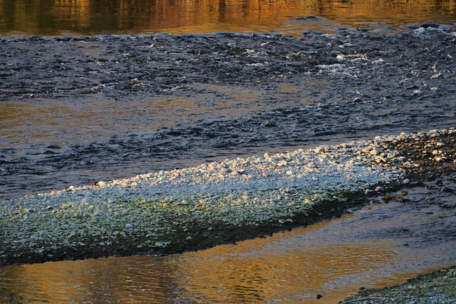 ../previews/199-Spiegelung in der Thur_2015_11_07--16-18-39.jpeg.medium.jpeg