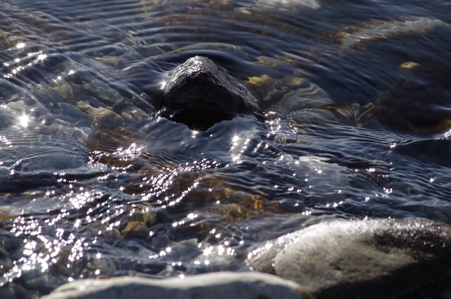 ../previews/201-Steine und Eis am Rheinufer_2013_01_27--14-05-58.jpeg.medium.jpeg