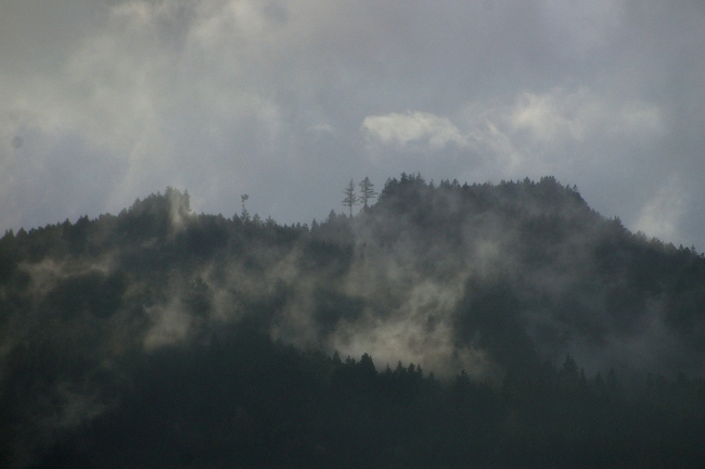 ../previews/203-Tannenberg mit Nebelschwaden_2007_02_11--17-05-44.jpeg.medium.jpeg