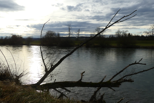 ../previews/206-Thur bei Niederneunforn_2022_01_04--11-12-34.jpeg.medium.jpeg