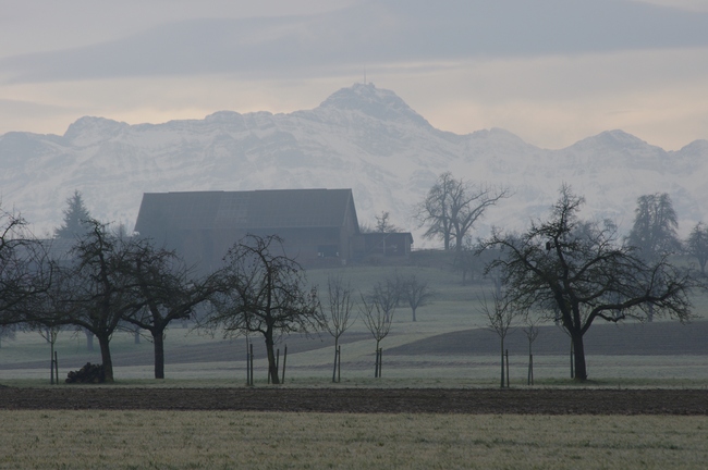 ../previews/207-Thurgauer Landschaft mit Saentis_2014_02_08--09-14-12.jpeg.medium.jpeg