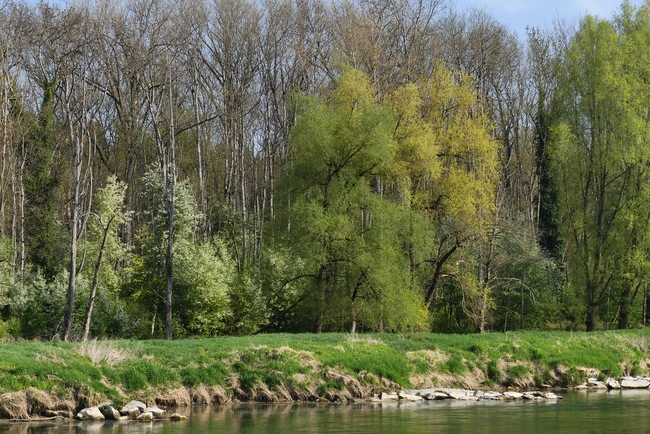 ../previews/208-Thurlandschaft im Fruehling_2022_04_22--09-44-29.jpeg.medium.jpeg