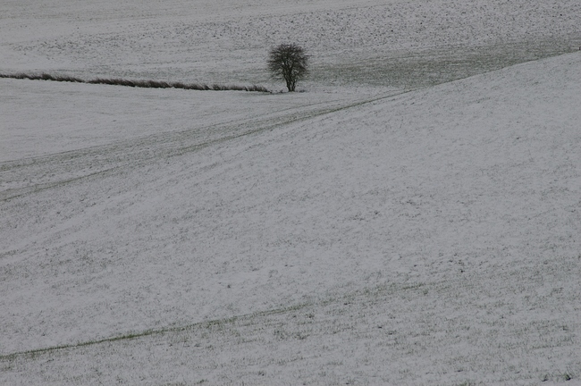 ../previews/224-Winterlandschaften bei Wittenbach, Dottenwil_2005_11_26--16-12-24.jpeg.medium.jpeg