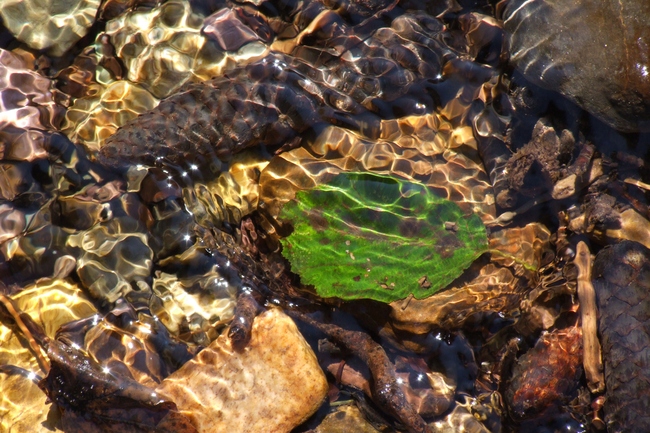 ../previews/005-Bach, Grund_2007_09_16--13-12-28.jpeg.medium.jpeg