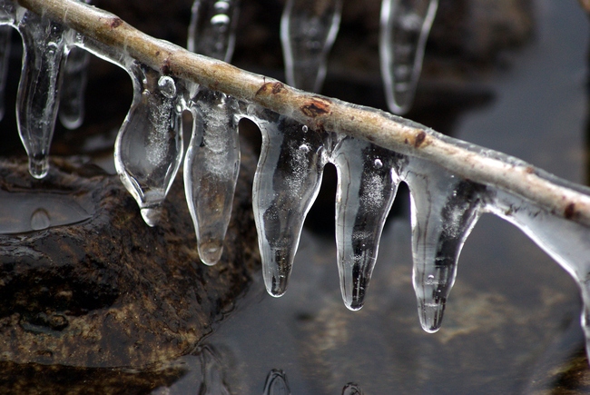 ../previews/025-Eis am Bodensee_2009_01_12--13-57-44.jpeg.medium.jpeg