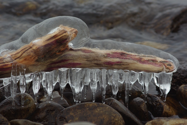 ../previews/026-Eis am Bodensee_2009_01_12--14-00-56.jpeg.medium.jpeg