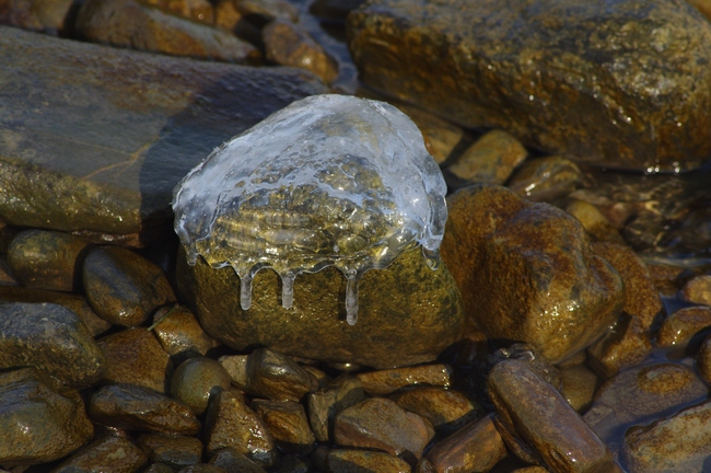 ../previews/028-Eisbildung am Bodenseeufer_2012_02_04--10-56-35.jpeg.medium.jpeg