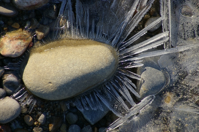 ../previews/033-Eiskristalle an der Sitter_2008_12_08--12-45-45.jpeg.medium.jpeg