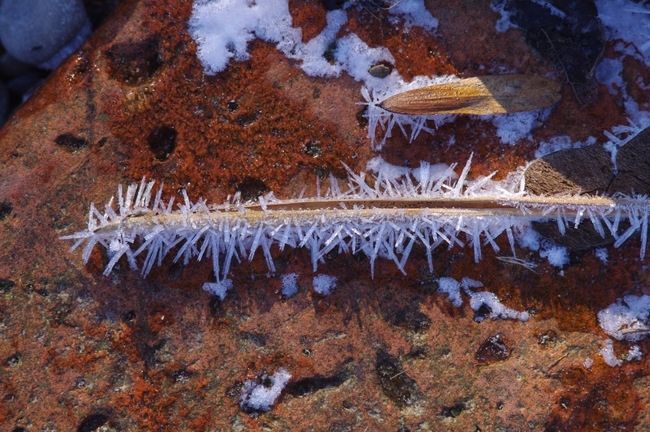 ../previews/034-Eiskristalle an Halm_2012_01_15--11-10-33.jpeg.medium.jpeg