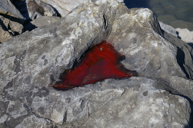 ../previews/056-Rote Wasserlache auf Stein_2007_03_11--12-51-47.jpeg.medium.jpeg