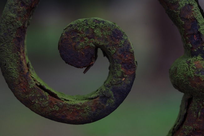 ../previews/061-Schmiedeiserner Zaun_2013_04_07--15-40-32.jpeg.medium.jpeg