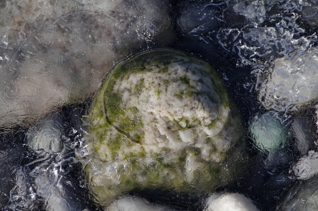 ../previews/072-Steine und Eis am Rheinufer_2013_01_27--14-10-50.jpeg.medium.jpeg