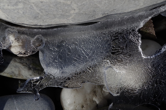 ../previews/073-Steine und Eis am Rheinufer_2013_01_27--14-14-21.jpeg.medium.jpeg