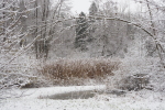 Vorschaubild 2026_01_11--10-41-20.jpg 