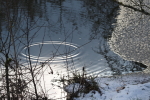 Vorschaubild 2026_01_11--14-18-51.jpg 