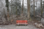 Vorschaubild 2026_01_21--10-36-48.jpg 