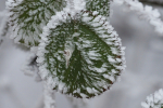 Vorschaubild 2026_01_23--09-59-51.jpg 