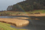 Vorschaubild 2026_02_16--10-18-37.jpg 